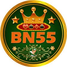 BN55 Logo