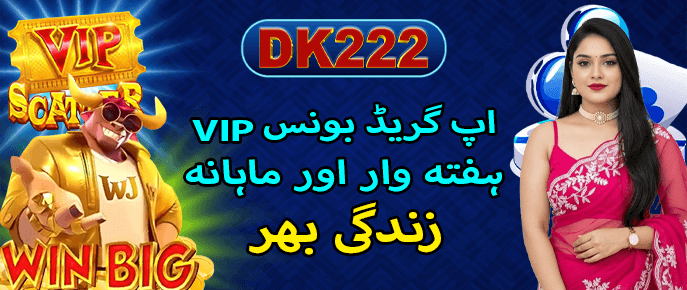 Make Money with DK222